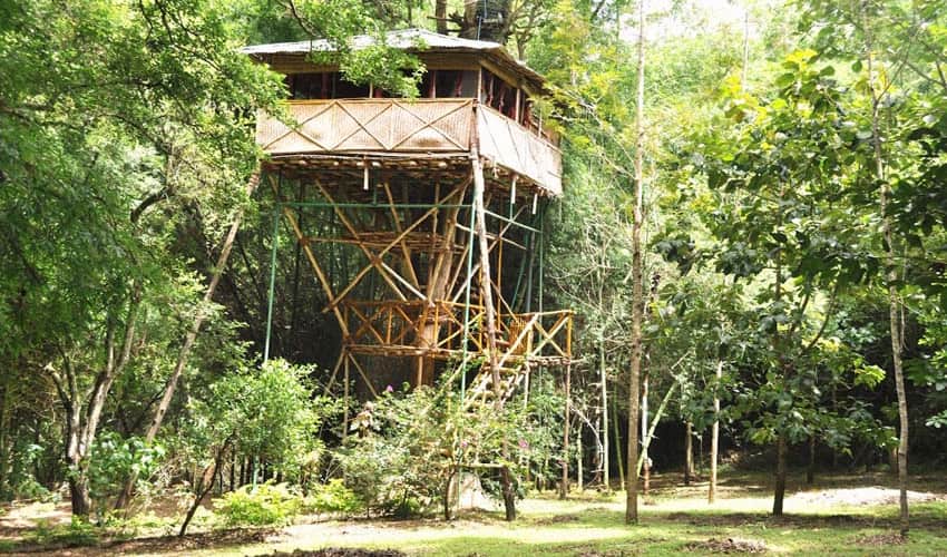 Safari Land Resort, Nilagiri 1